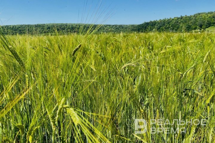 В Татарстане насчитывается 196 особо охраняемых природных территорий