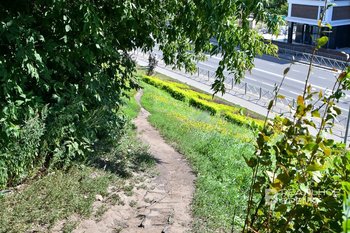 В Госдуме рассказали, как легализовать «народную тропу»