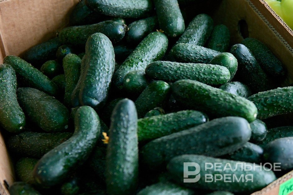 Огурцы стали самым подорожавшим продуктом в Татарстане