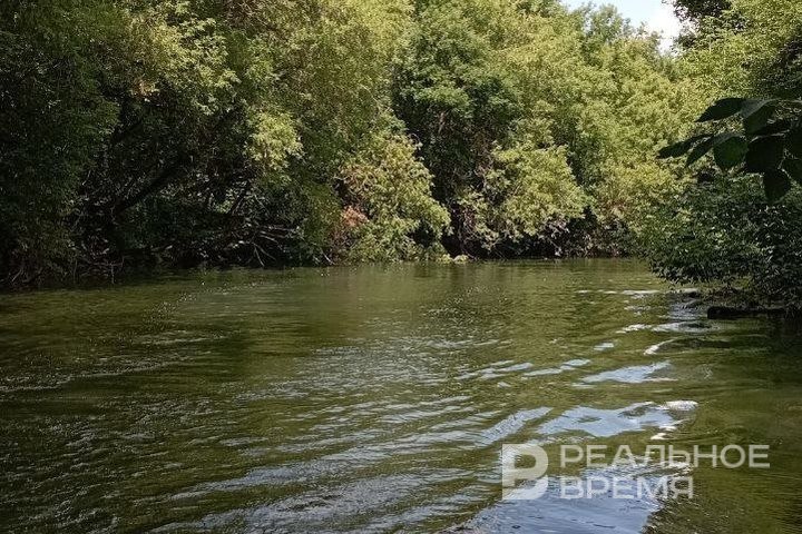 В Татарстане создадут сеть экологических троп в Волжско-Камском заповеднике