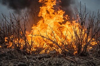 В Татарстане за сутки пожарные ликвидировали 9 пожаров