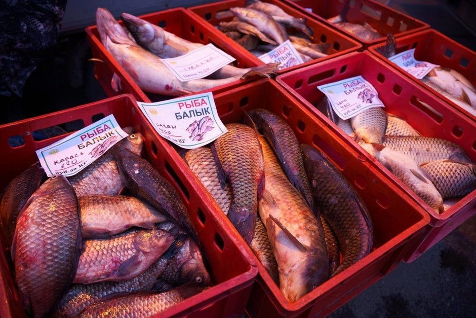 4,5 тыс. тонн овощей: более 690 млн рублей заработали татарстанские фермеры