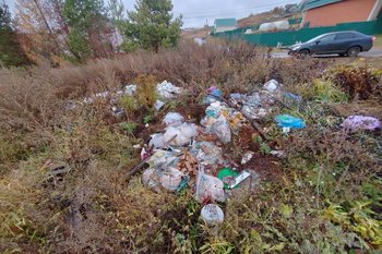 В Татарстане резко сократилось количество несанкционированных свалок