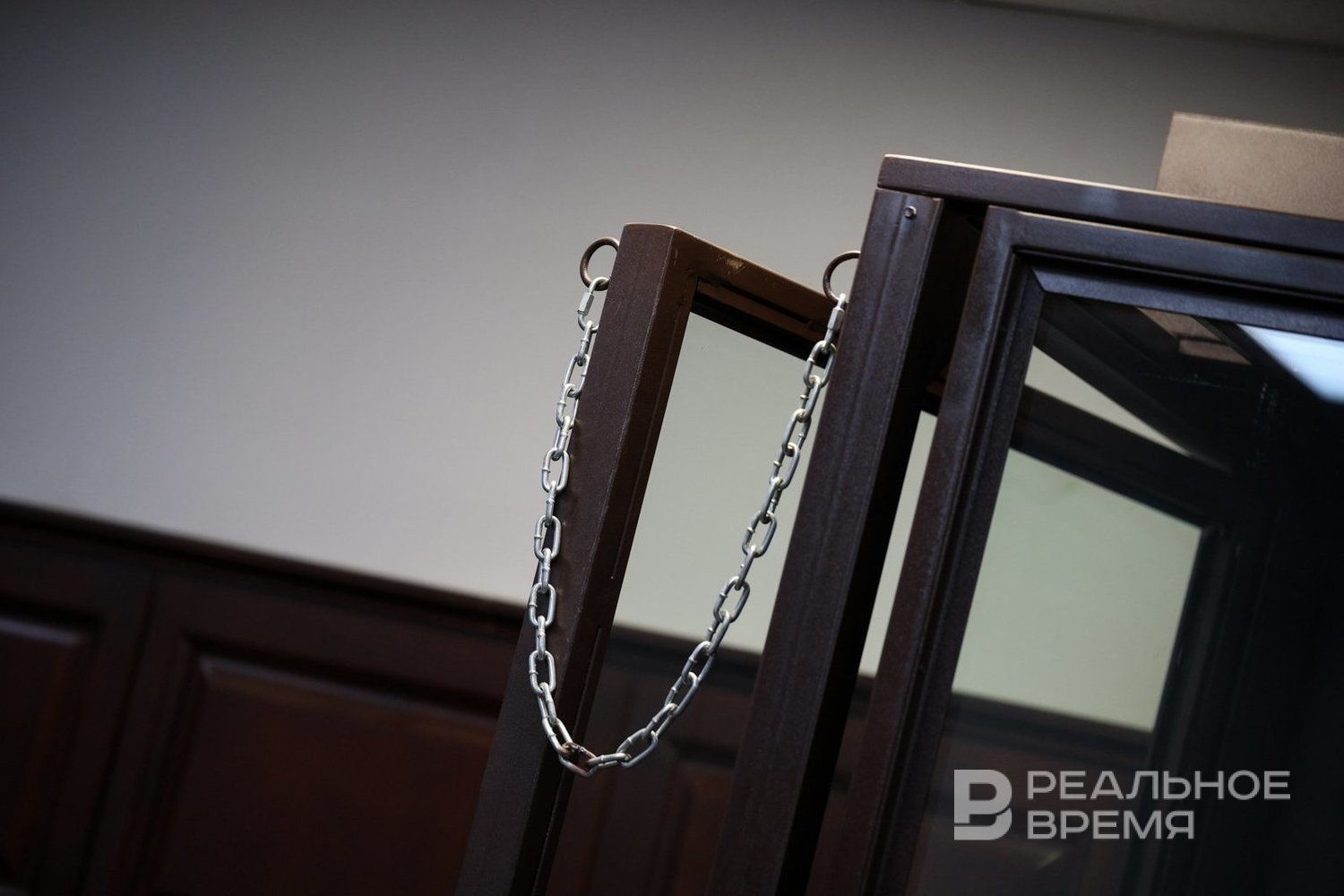 Блогеру Лерчек грозит 6 лет условно и штраф более 1,2 млрд