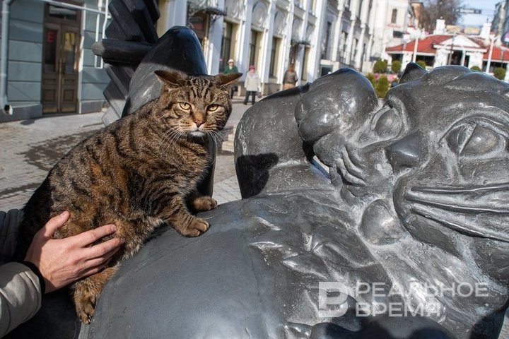 Бренд «Кот Казанский» продают за 7 млн рублей