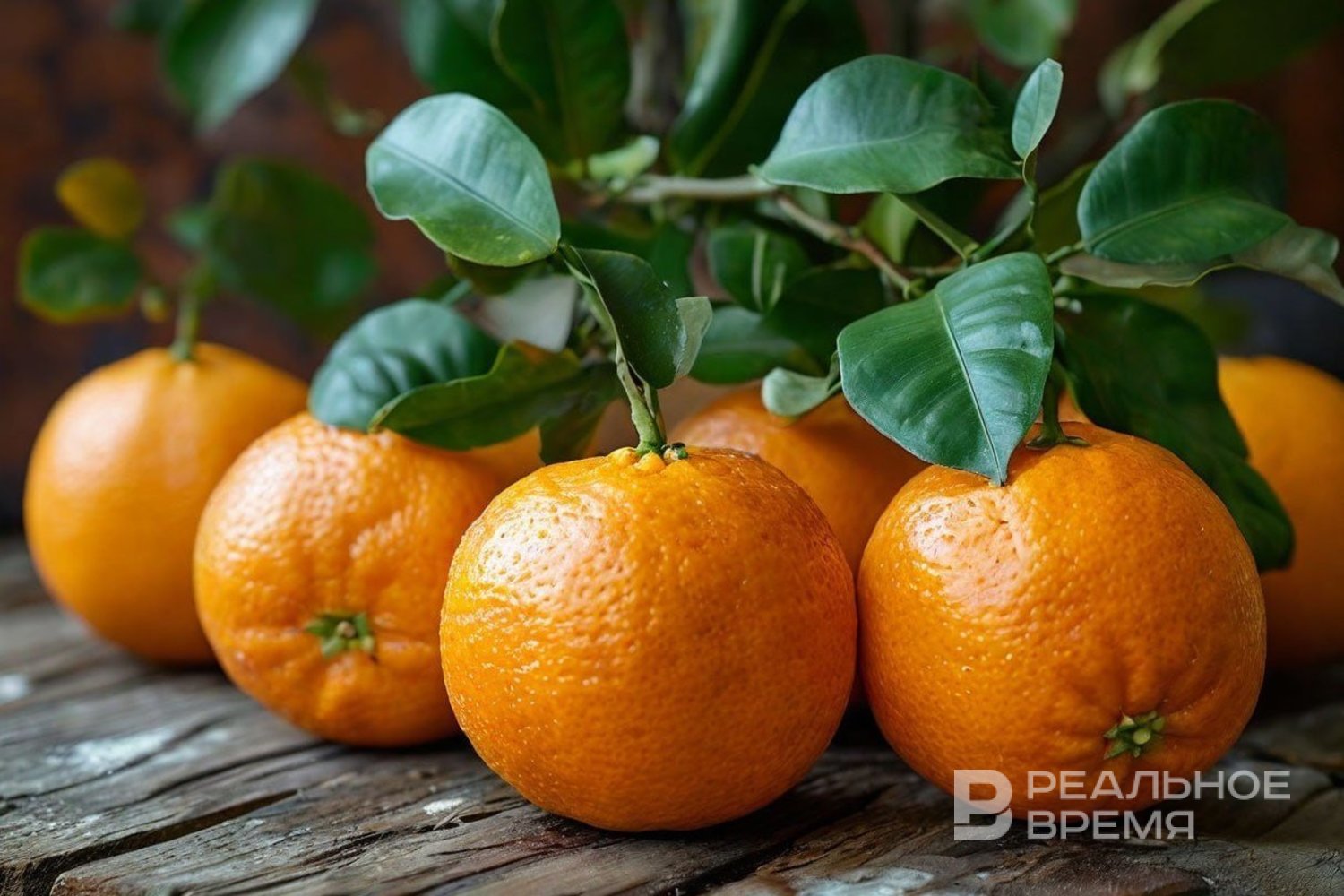 Цены на мандарины и апельсины в России упали более чем на 20%