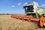 Зерновой союз: заморозки повредили до 30% посевов озимых культур в России