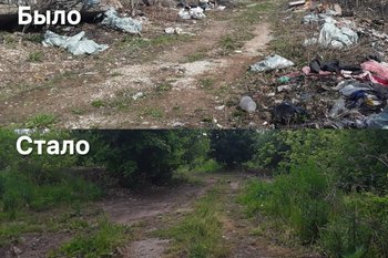 В Бугульминском районе ликвидировали несанкционированную свалку