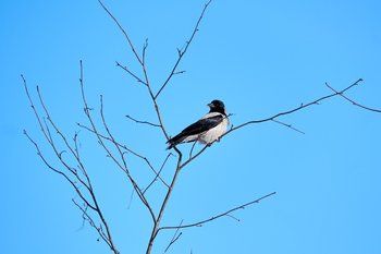 Сегодня в Татарстане ожидается до +3 градусов
