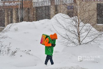 Исследование: казанские курьеры зарабатывают больше многих специалистов с высшим образованием