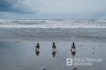 Более 2,5 тысячи птиц спасены после разлива мазута в Краснодарском крае