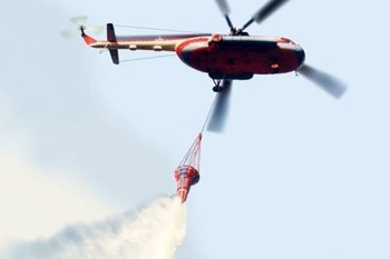 За сутки в России ликвидировано 22 лесных пожара в 9 регионах