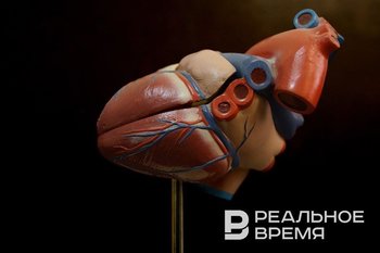 Кардиолог призывает проходить обследования, чтобы избежать внезапной смерти