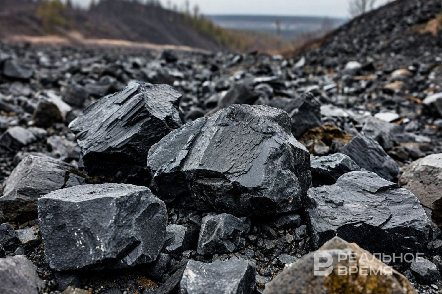 Более 50 угольных предприятий России остановлены или на грани закрытия