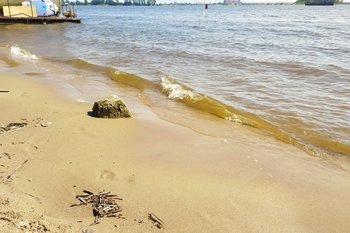СМИ: в одном из городов Германии запретили пускать на пляж людей, не владеющих немецким языком