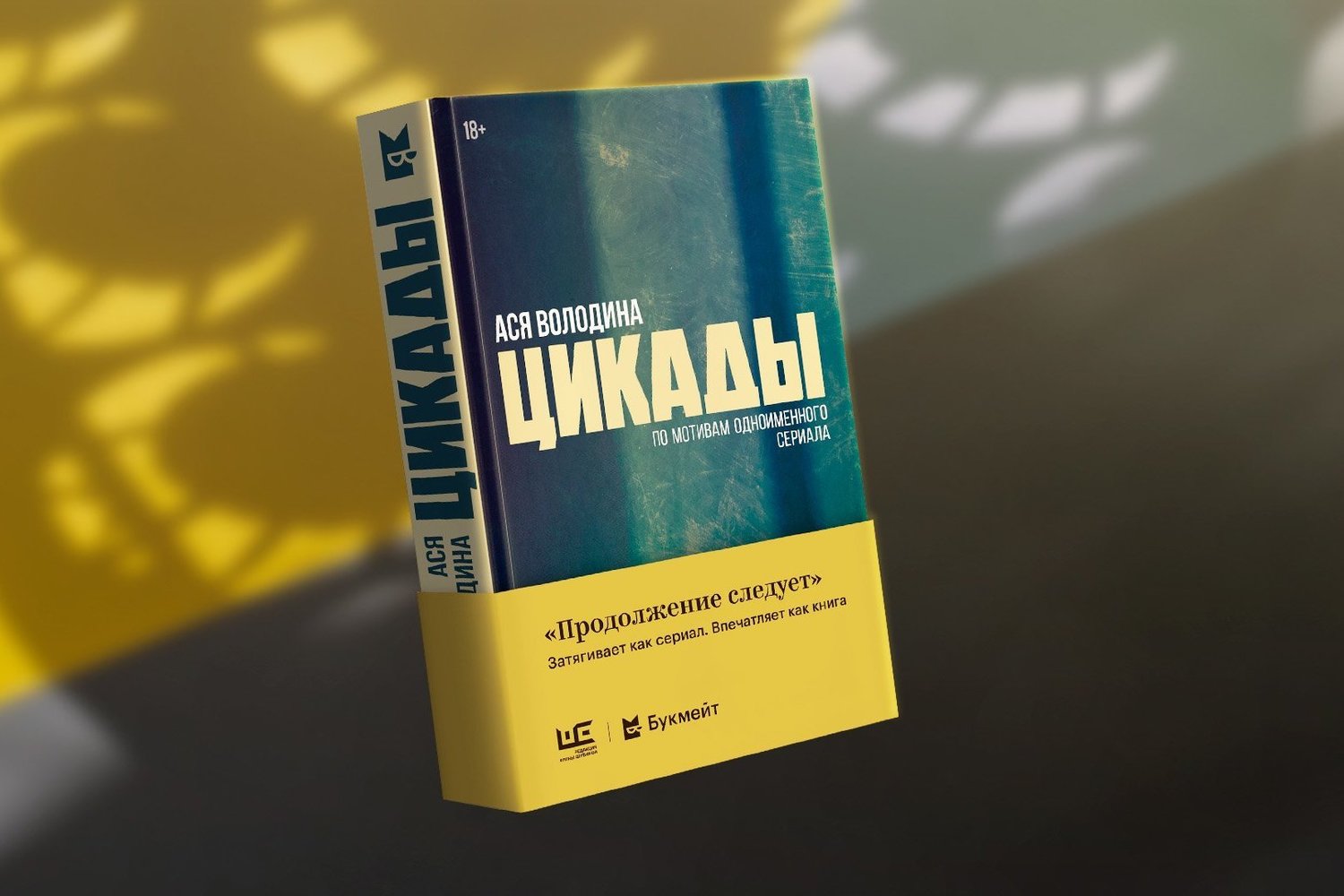 Ася Володина: «Это история про то, как и куда жить» — Реальное время