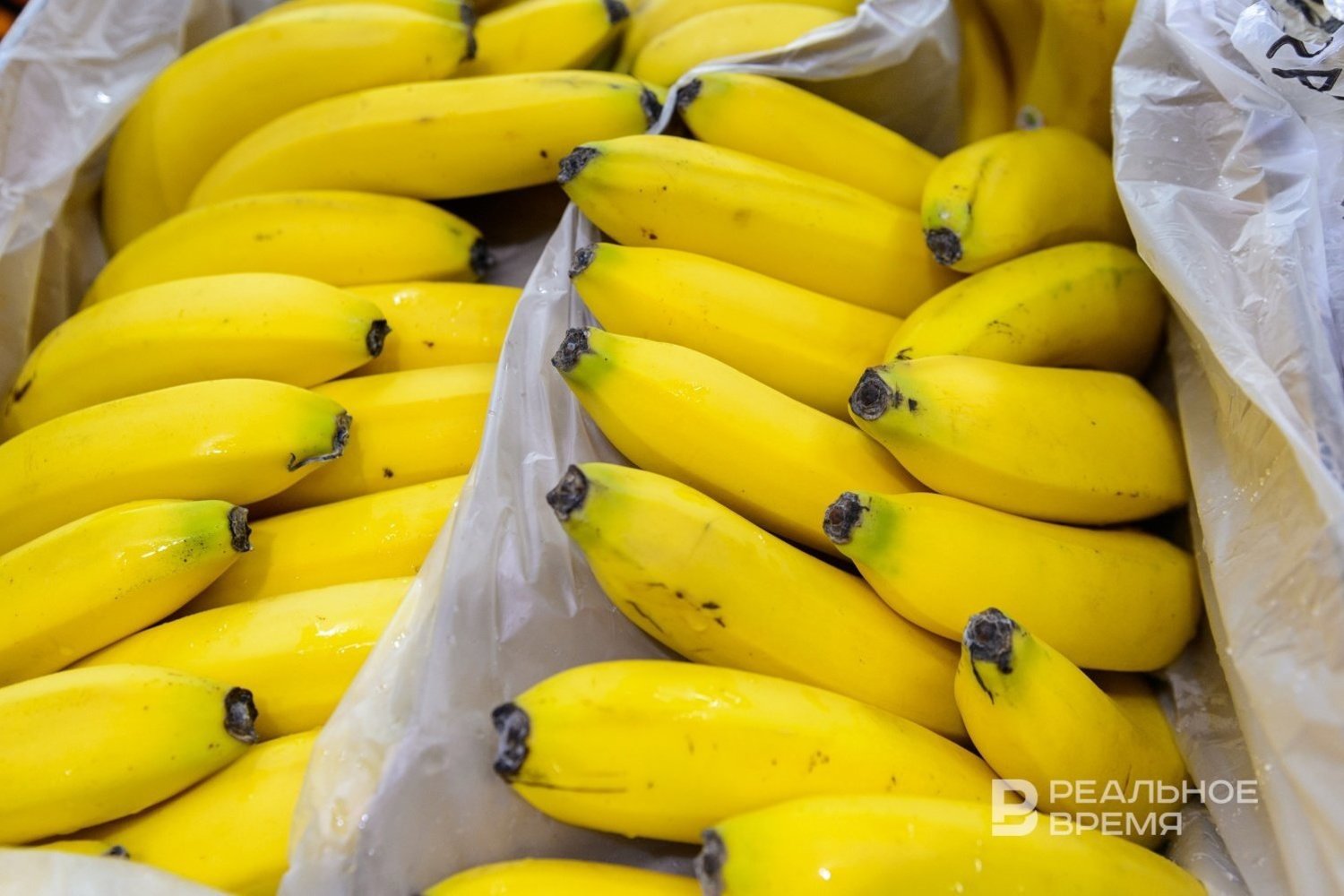 Бананы стали частью сельскохозяйственной продукции России