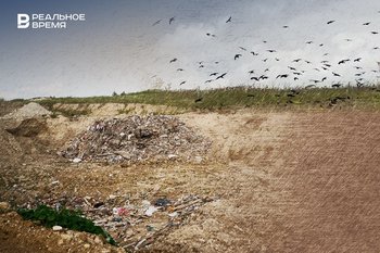 Жители села под Пестрецами обвинили экс-главу УК «ПЖКХ» в создании мегасвалки