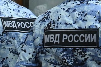 МВД: с начала года из оборота изъято 13,2 тонны наркотиков