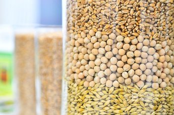 Лут: Россия займет первое место по экспорту ячменя