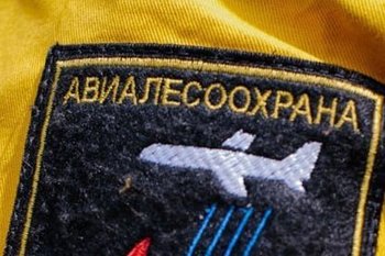 В России за сутки потушили семь лесных пожаров