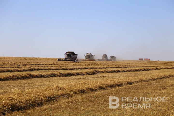 Агрохолдинг «Красный Восток» вышел на экватор уборочной кампании и приступил к севу озимых культур