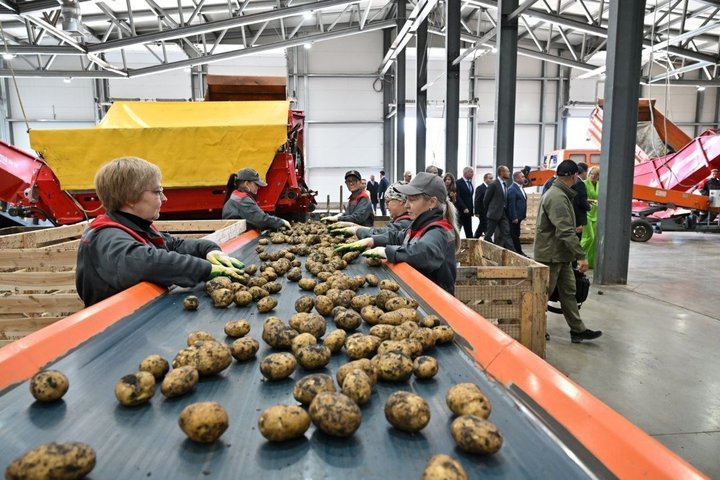 В Чистопольском районе Татарстана открыли новый завод по переработке картофеля