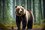 На берегу Мёши Лаишевского района Татарстана замечен медведь