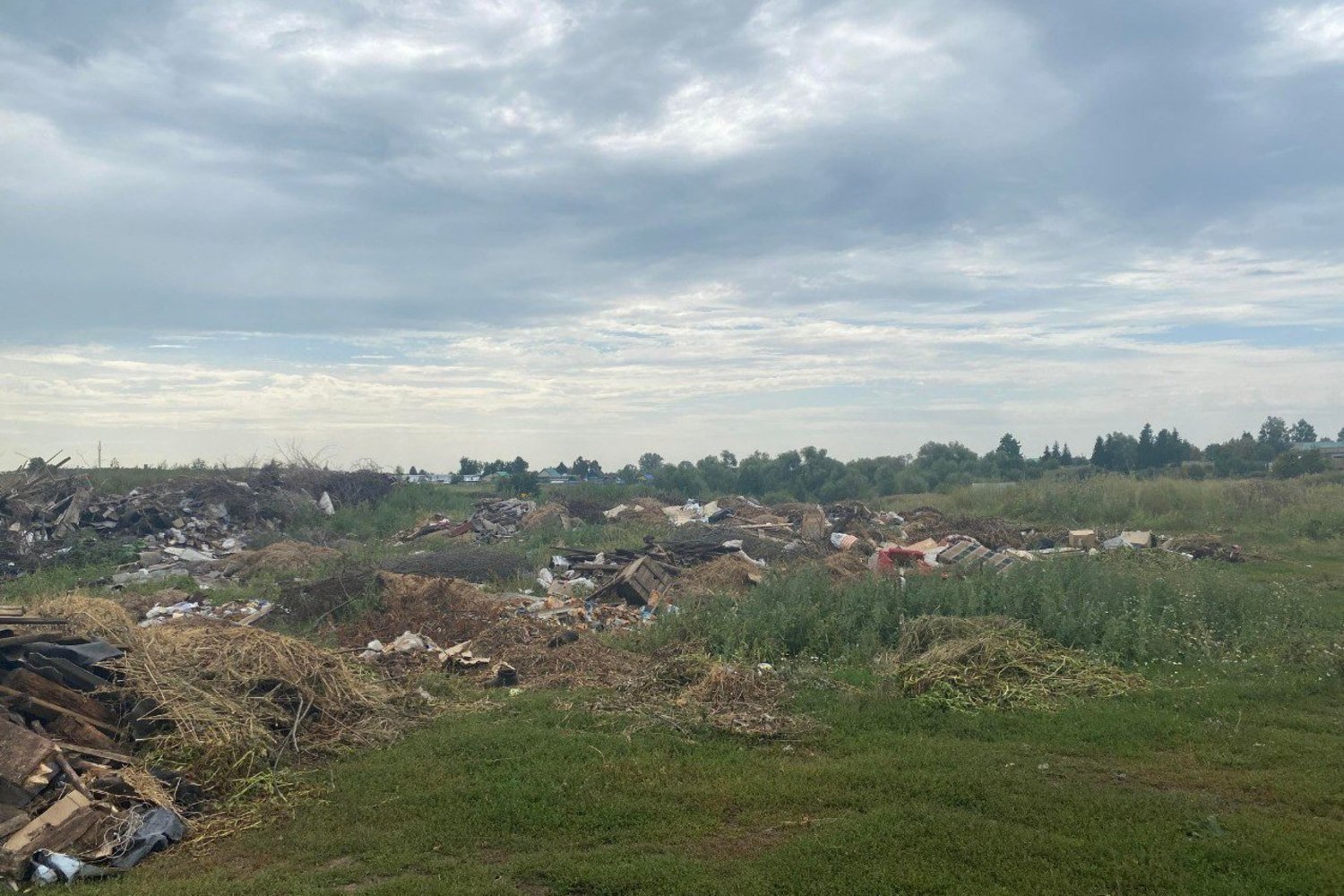 В Аксубаевском районе обнаружена крупная свалка на 2,3 тыс. кв. метров