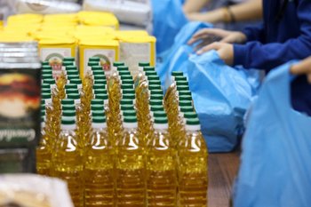 Подсолнечник для Поднебесной: китайцы присмотрелись к Тетюшам