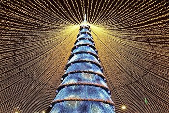 В Казани началась установка главной городской елки