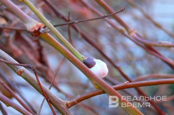 Врач Кондрахин предупредил о риске простуды, если одеваться «неадекватно»