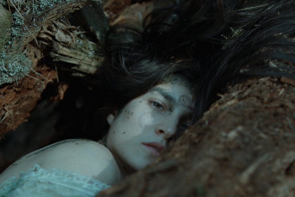 А потом все ушли в лес