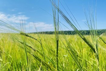 Фермеры Татарстана выручили более 380 миллионов на сельхоз ярмарках