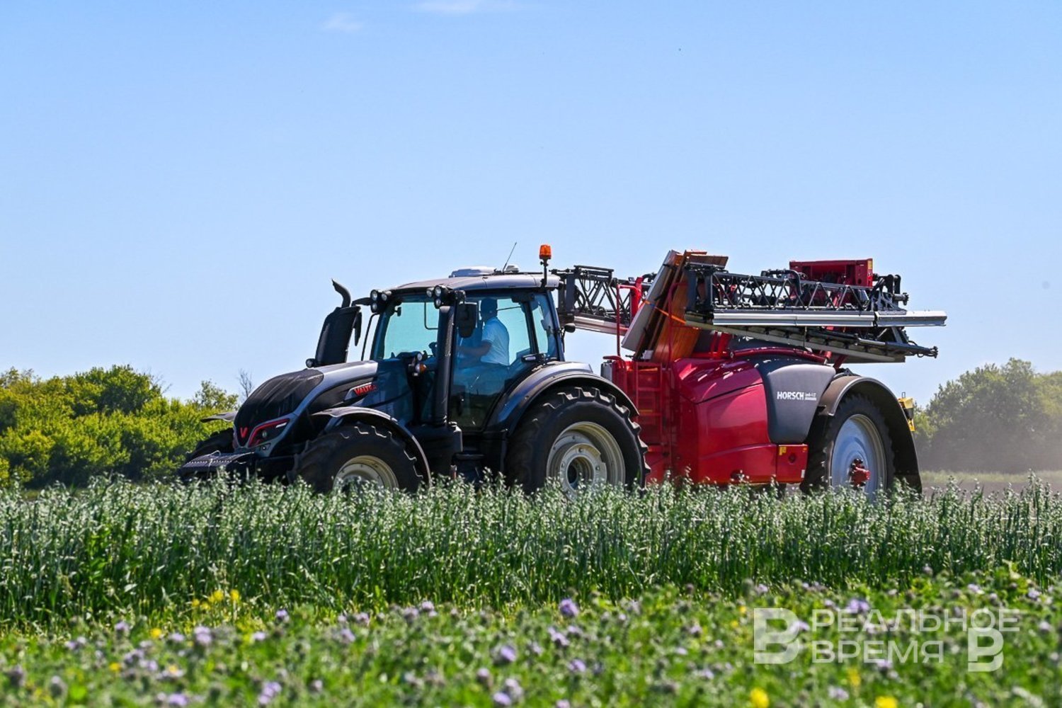 Экспорт продукции АПК из Татарстана вырос на 14%