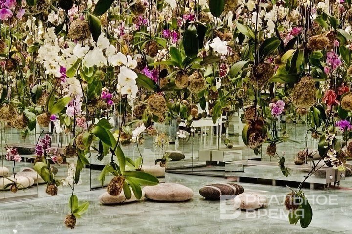 В России хотят создать профессиональную организацию по контролю за цветами