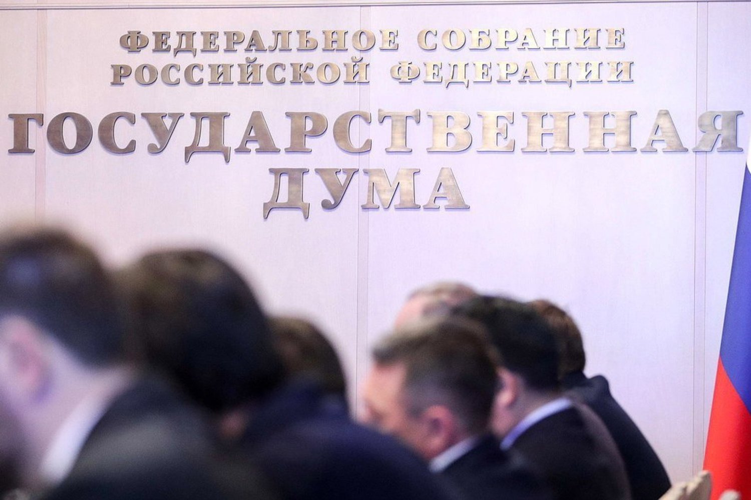Ларису Долину пригласили в Госдуму на обсуждение механизмов защиты покупателей недвижимости