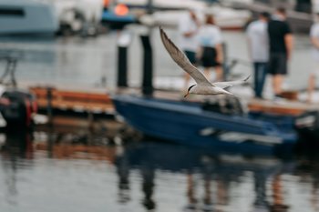 «На нас наконец-то обратили внимание»