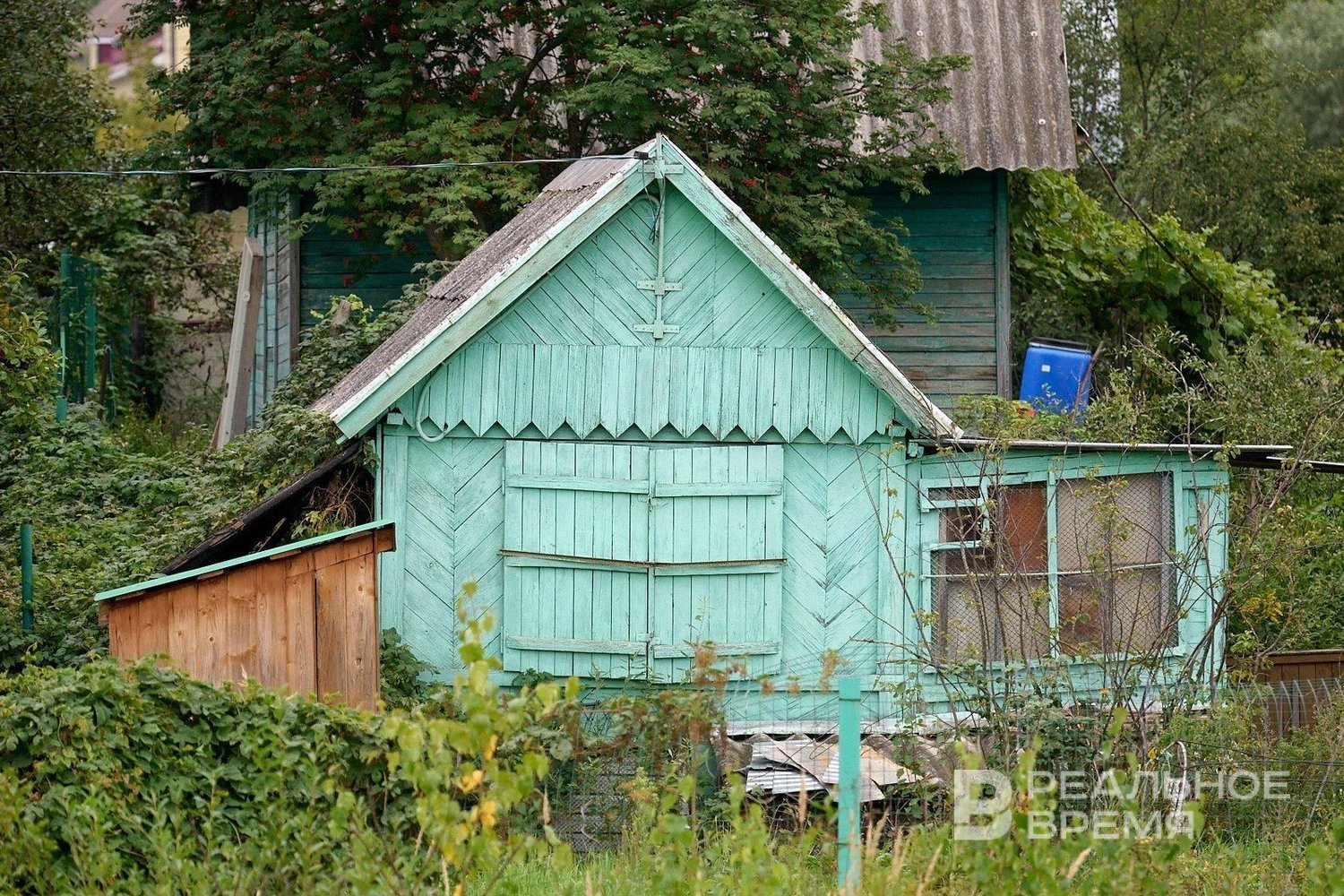 В России вступил в силу запрет на коммерческую деятельность на дачных участках