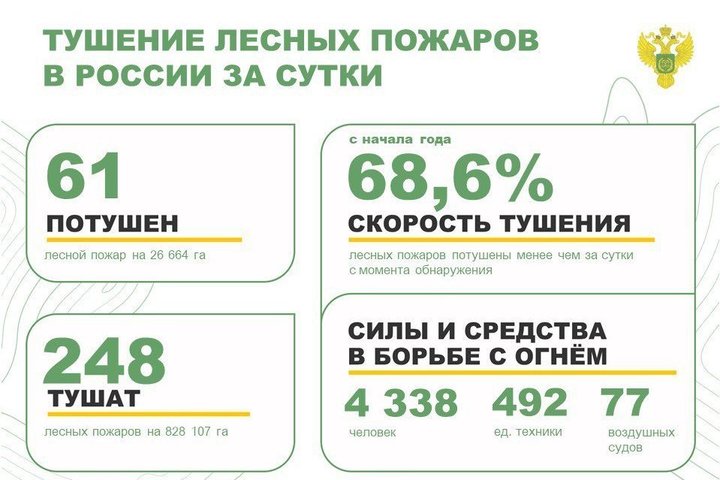 В России продолжается борьба с лесными пожарами: за сутки потушен 61 пожар, но еще 248 остаются активными