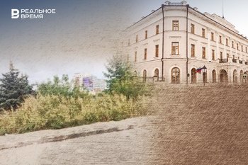 Кто расчистит улицы Казани от диких зарослей бурьяна и репейника?