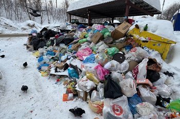 К середине марта в Казани нормализовалась ситуация с вывозом мусора