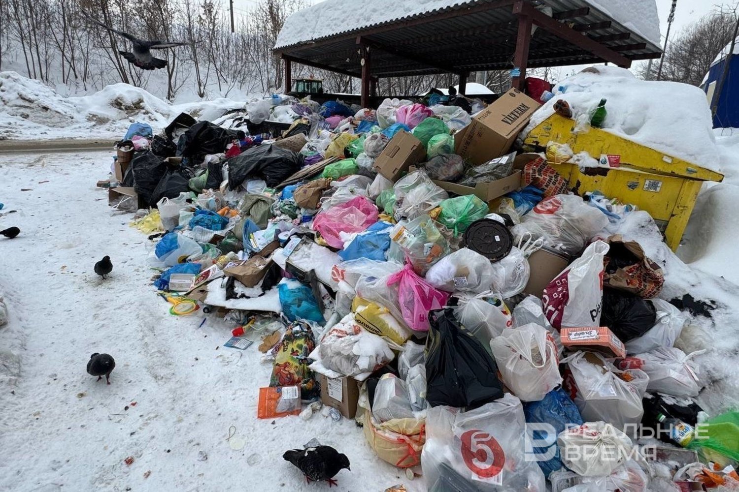 К середине марта в Казани нормализовалась ситуация с вывозом мусора