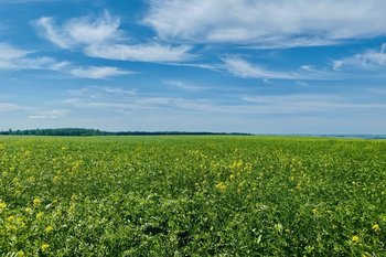 Сегодня в Татарстане ожидается до +28 градусов