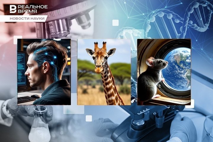 У Урана новый спутник, мыши и мухи полетели в космос, нейропротез читает мысли