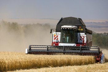 Россия собрала 130 млн тонн зерна с начала 2025 года