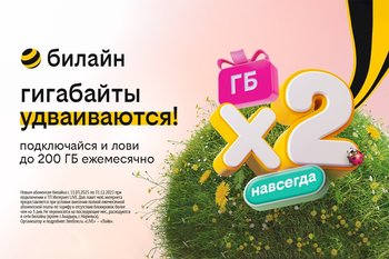 билайн запустил акцию для организации интернета в загородном доме