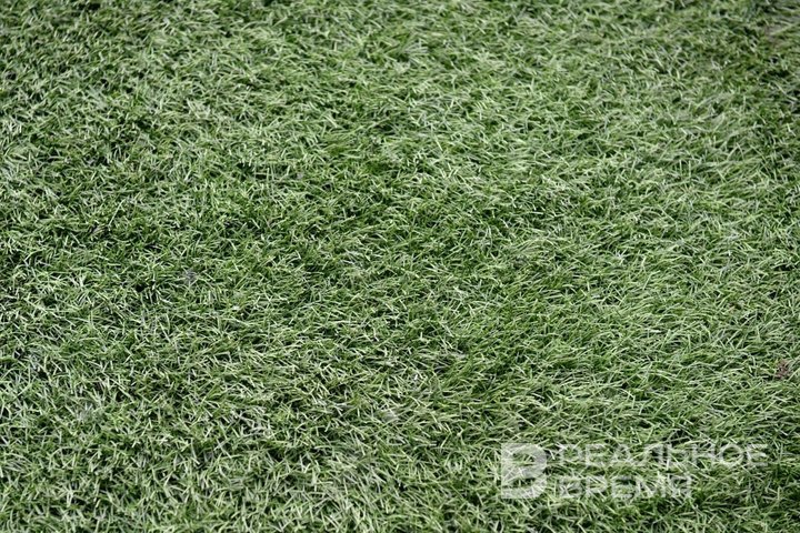 К середине весны спрос на услуги в сфере благоустройства и озеленения в Казани значительно вырос