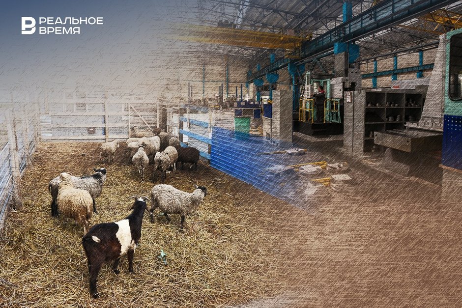 Тактика выживания: почему татарстанский бизнес «съеживается»