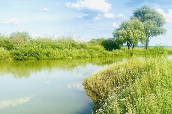 В Азнакаевском районе ограничили доступ к пруду